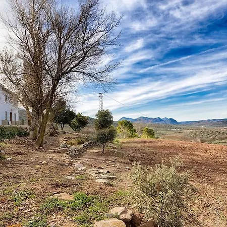 Cortijo Borreguero Casa rural