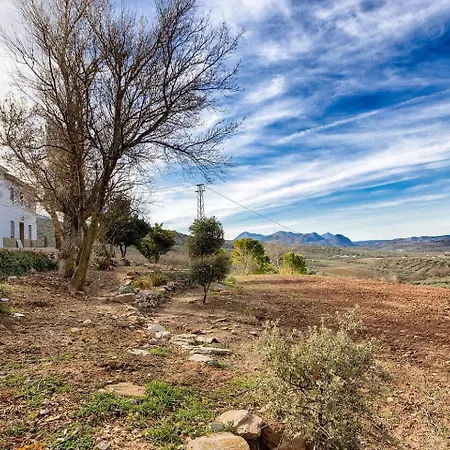Cortijo Borreguero *